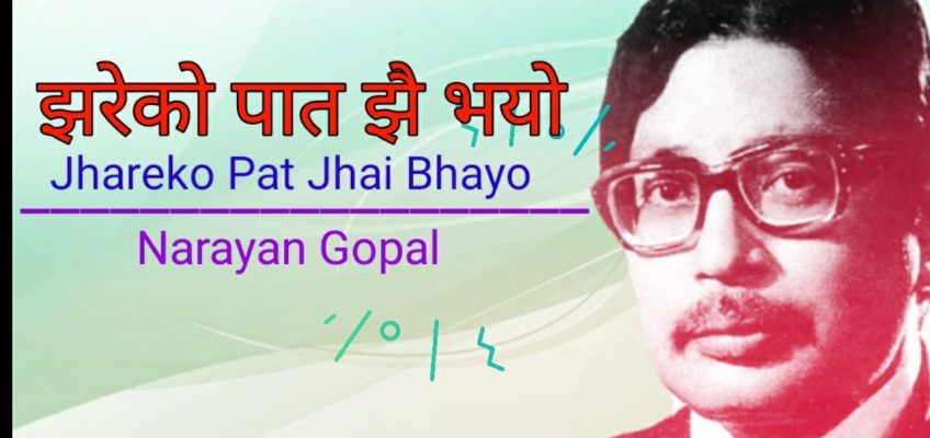 Jhareko Paat Jhai Bhayo, Chords of Jhareko Paat Jhai Bhayo,Lyrics of Jhareko Paat Jhai Bhayo,Guitar Chords of Jhareko Paat Jhai Bhayo,Jhareko Paat Jhai Bhayo Lyrics and Chords,Song Key of Jhareko Paat Jhai Bhayo,Jhareko Paat Jhai Bhayo BPM,Jhareko Paat Jhai Bhayo by Narayan Gopal